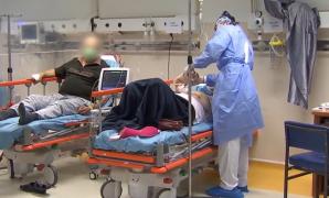 Noua tulpină se răspândeşte cu rapiditate. 45 de noi cazuri au fost anunţate în doar o săptămână