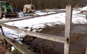 Parlamentarii vor să reglementeze şi gunoiul de grajd, după frunzele uscate