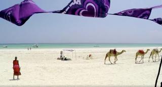 Românii se duc în Kenya, ca să scape de coronavirus, în vacanţă