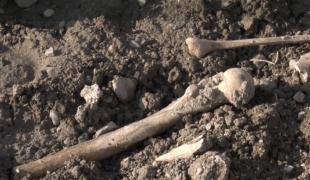 Vestigii arheologice medievale, descoperite în centrul orașului Oradea în timpul săpăturilor pentru o parcare modernă