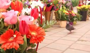 Târguri și florării pregătite de 1 martie, clienții s-au cam împuținat