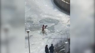 Tânăr din Dej, filmat în timp ce se aruncă într-un lac îngheţat pentru a salva un căţel