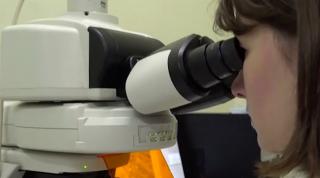 Tulpina britanică, dominantă în valul trei al pandemiei. Medicii se pregătesc pentru ce este mai rău