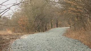 Pădurea Hoia Baciu, decor pentru un viitor complex de locuinţe de lux. Ecologiştii cer vehement blocarea proiectului şi ameninţă cu proteste