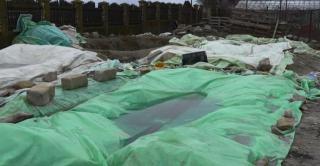 Inspectorii sanitari, preocupați de varza de Lungulețu murată în gropi: "Stau câini, circulă şoareci, şobolani"