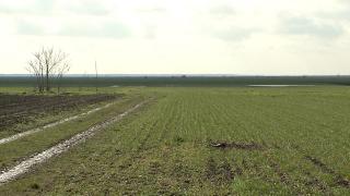 Statul taie ajutoarele fermierilor, oamenii sunt decişi să protesteze. Painea si carnea s-ar putea scumpi cu 10%, spun specialiştii