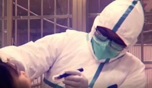 Ce am învățat despre virus într-un an de pandemie