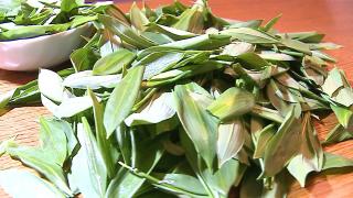 Leurda, planta minune pentru sănătate. Ce beneficii are şi cum poate fi preparată