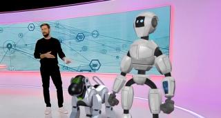 Roboții, angajații viitorului: pot livra pachete sau participa la misiuni de salvare