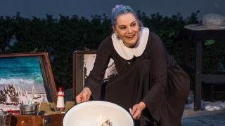 A fost prins individul care a ameninţat-o cu moartea pe actriţa Maia Morgenstern. Bărbatul de 25 de ani, sub control judiciar pentru 60 de zile