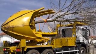 Zeci de arbori au fost mutați pentru a face loc copacilor tineri, în Sibiu. Cu ajutorul unui utilaj special, rădăcinile copacilor rămân intacte