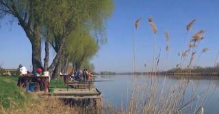 Pescuitul pe baltă, relaxare pentru pasionați. O zi de pescuit pe o baltă privată costă în jur de 70 de lei