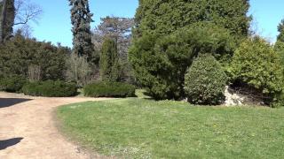 Cea mai aspră iarnă din ultimul deceniu, în Hunedoara. Peste o sută de copaci au fost doborâţi de zăpadă şi vânt în Parcul Dendrologic Simeria