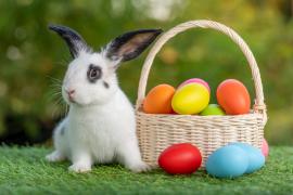 Iepuraşul de Paşte are nevoie de ajutor. Un preot din Iaşi caută voluntari pentru a împărţi daruri copiilor