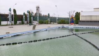 Agonia patronilor de piscine acoperite sau centre SPA. A trecut mai bine de un an de când stau cu afacerile închise şi aşteaptă o soluţie