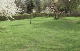 Un parc din Cluj-Napoca, evaluat la 2 milioane de euro, a fost scos la vânzare. Cum s-a ajuns în această situație