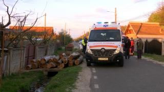 Un gorjean a intrat în şoc anafilactic şi a murit, după ce a fost atacat de albinele pe care le creştea