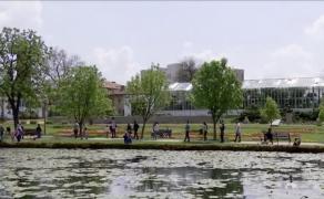 Sculpturi în lemn cu drujba, la Grădina Botanică din Craiova