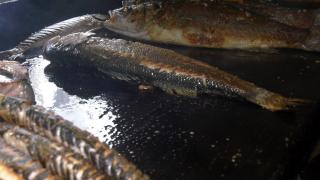 Peştele, în topul preferinţelor culinare. Ce reţete propun chefii în preajma sărbătorilor