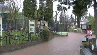 Premieră în România. Localnicii din Piatra Neamț au reușit să închidă grădina zoologică, impresionați de povestea ursoaicei Ina
