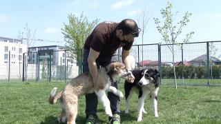 Lux pentru animalele de companie: Când stăpânii pleacă în vacanţă, patrupedele se mută la hotel