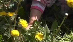 Zonele verzi din Oradea au fost invadate de căpuşe. De ce sunt periculoase şi cum ar trebui să te fereşti