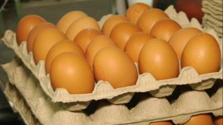 265.000 de ouă, contaminate cu Salmonella, oprite de la comercializare în ultima cl