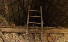 De ce s-ar fi sinucis, de fapt, băiatul de 13 ani din Bihor. Părinţii copilului au variante diferite