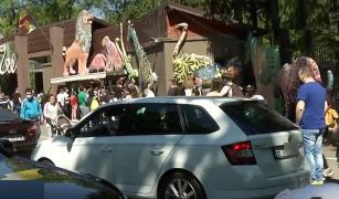 Aglomerație mare la Grădina Zoologică din Pădurea Băneasa. ”Oameni sătui de restricţii şi stat în casă”