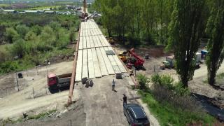 Birocraţia omoară România: Construcţia unui pod, blocată de trei plopi