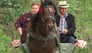 Studiu: Bătrânii de peste 65 de ani din România, codaşii Europei la utilizarea Internetului