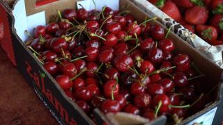 Cireşele de mai se mai lasă aşteptate. Cât a ajuns să coste acum un kilogram