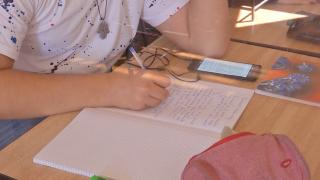 Mii de elevi cer să continue cursurile online, după anunțul privind redeschiderea totală a școlilor în București. ”Sunt profesori care ne amenință cu teste”