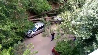 Dezastru în vestul țării, vânt năprasnic în București. Puhoaiele au rupt diguri şi drumuri, zeci de copaci căzuți peste mașini