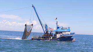 Scufundarea pescadorului Shark1 rămâne îngropată în mister. Ipoteză cruntă în cazul marinarilor încă dispăruţi