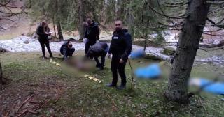 Zeci de câini, printre care şi 19 pui, ucişi şi aruncaţi în pădure. Imagini înfiorătoare în Parcul Național Retezat