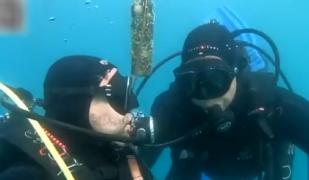 Vinul maturat în cramele subacvatice, o experiență de neuitat: "Gustul este atât de armonios că dă de gândit"