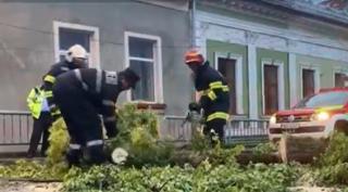 Vremea a făcut ravagii în nord-vestul țării. Ploaia s-a transformat în grindină, iar vântul puternic a doborât numeroși copaci