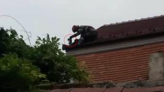 O altfel de misiune pentru pompierii din Sibiu: Pui de pisică, salvat de pe acoperişul unei case