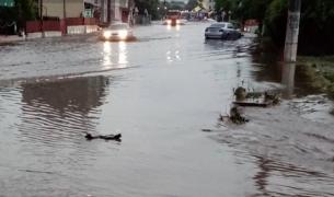 Ploile torenţiale au făcut prăpăd în mai multe zone din ţară: "Contra naturii nu te pui"