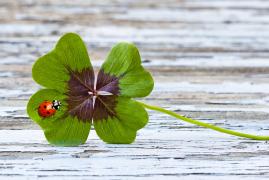 Horoscop special, 30 mai. Talismanele potrivite fiecărei zodii