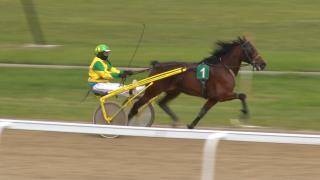 Cursele hipice de trap, organizate din nou pe hipodromul din Ploieşti. Pentru un bilet, spectatorii au nevoie de un test PCR sau de adeverinţa de vaccinare