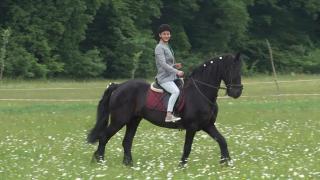 Pasionații de echitație se pot înscrie la cursuri de călărit la centrul din Mitocul Dragomirnei