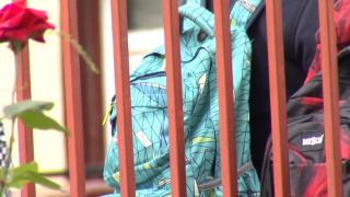 Corpul de control al MEC face verificări la școala George Bacovia. Ce vor să afle autoritățile despre cazul elevului care s-a aruncat pe geam