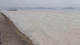 Fenomen periculos în Marea Marmara. Kilometri de coastă, acoperiţi de o substanţă toxică care ar putea ajunge şi în Marea Neagră