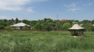 "Leacurile" băbeşti din substanţe pentru insecte sau şoareci pot cauza adevărate tragedii. Specialiştii trag un semnal de alarmă