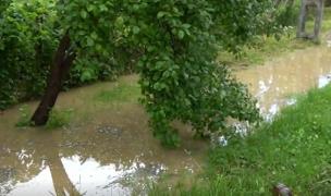 Ploile torenţiale au făcut prăpăd în mai multe zone din ţară, curţile oamenilor fiind inundate