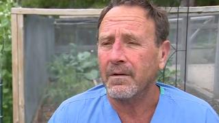 Experienţa unică trăită de un scafandru după ce a fost înghiţit de o balenă cu cocoaşă: „Mi-am zis, asta e, voi muri”