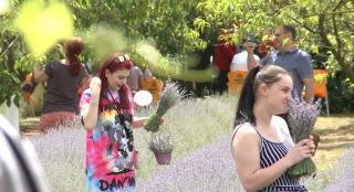 Vaccinare în lavandă, experienţă unică în Timiş: "E foarte frumos. După vaccinare, vine relaxarea în lavandă"