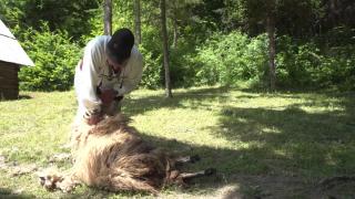 Atelier de tuns oile, o experienţă inedită pentru turişti, la Muzeul Astra din Sibiu